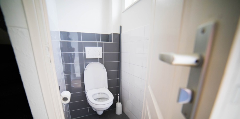 WC renovatie | Bijmijthus
